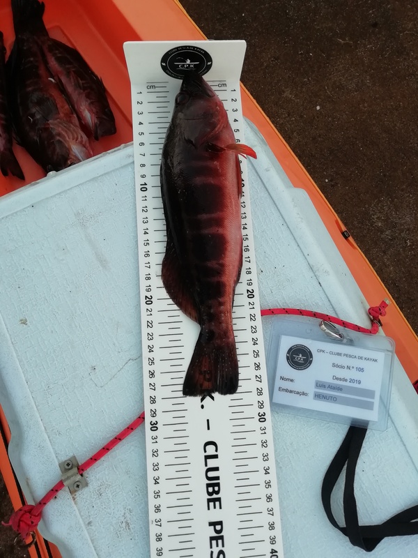 Fish Measure Picture